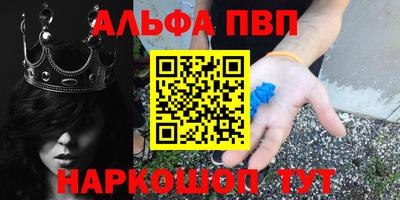 стафф Кингисепп