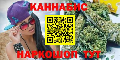 стафф Кингисепп