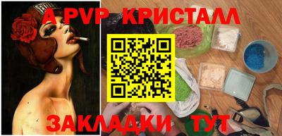 стафф Кингисепп