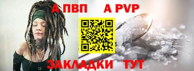 стафф Кингисепп