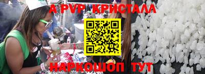 стафф Кингисепп