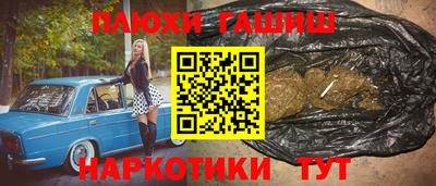 стафф Кингисепп