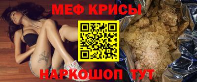 стафф Кингисепп