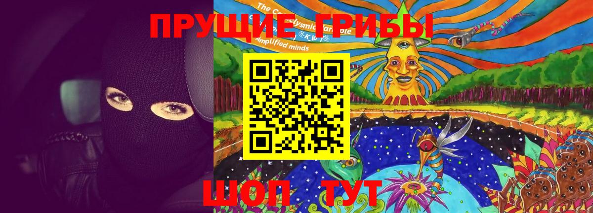 Каменск-Шахтинский  Галлюциногенные грибы GOLDEN TEACHER  Вход с VPN 